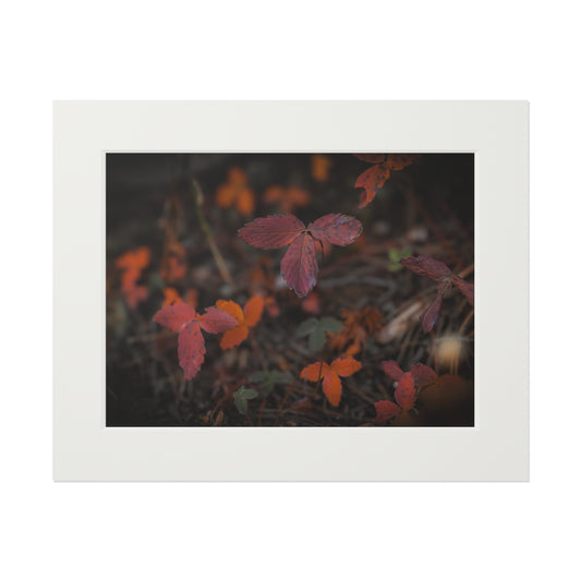 "Autumn Leaves" Fine Art Prints (Passepartout Paper Frame)