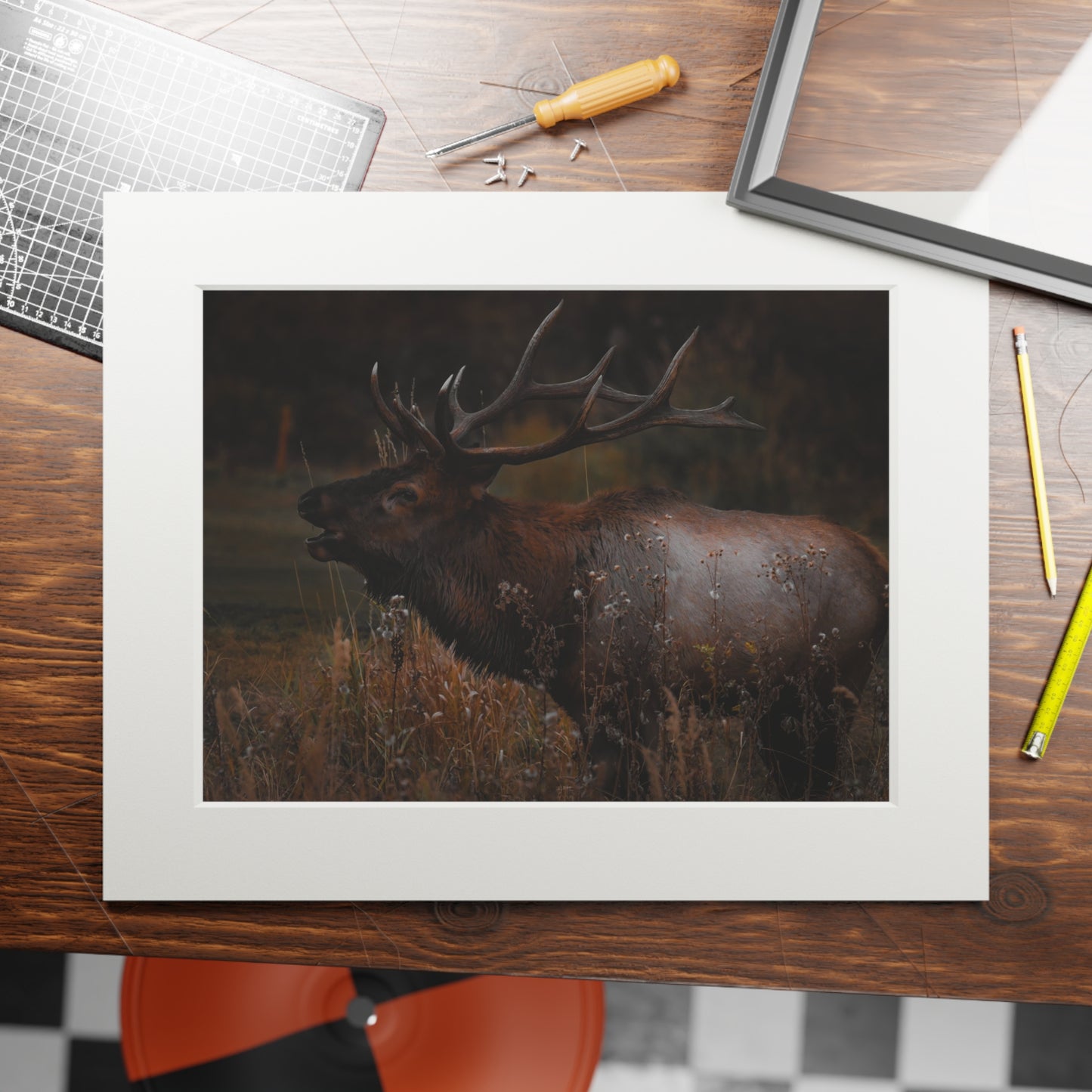 "The Bull" Fine Art Prints (Passepartout Paper Frame)