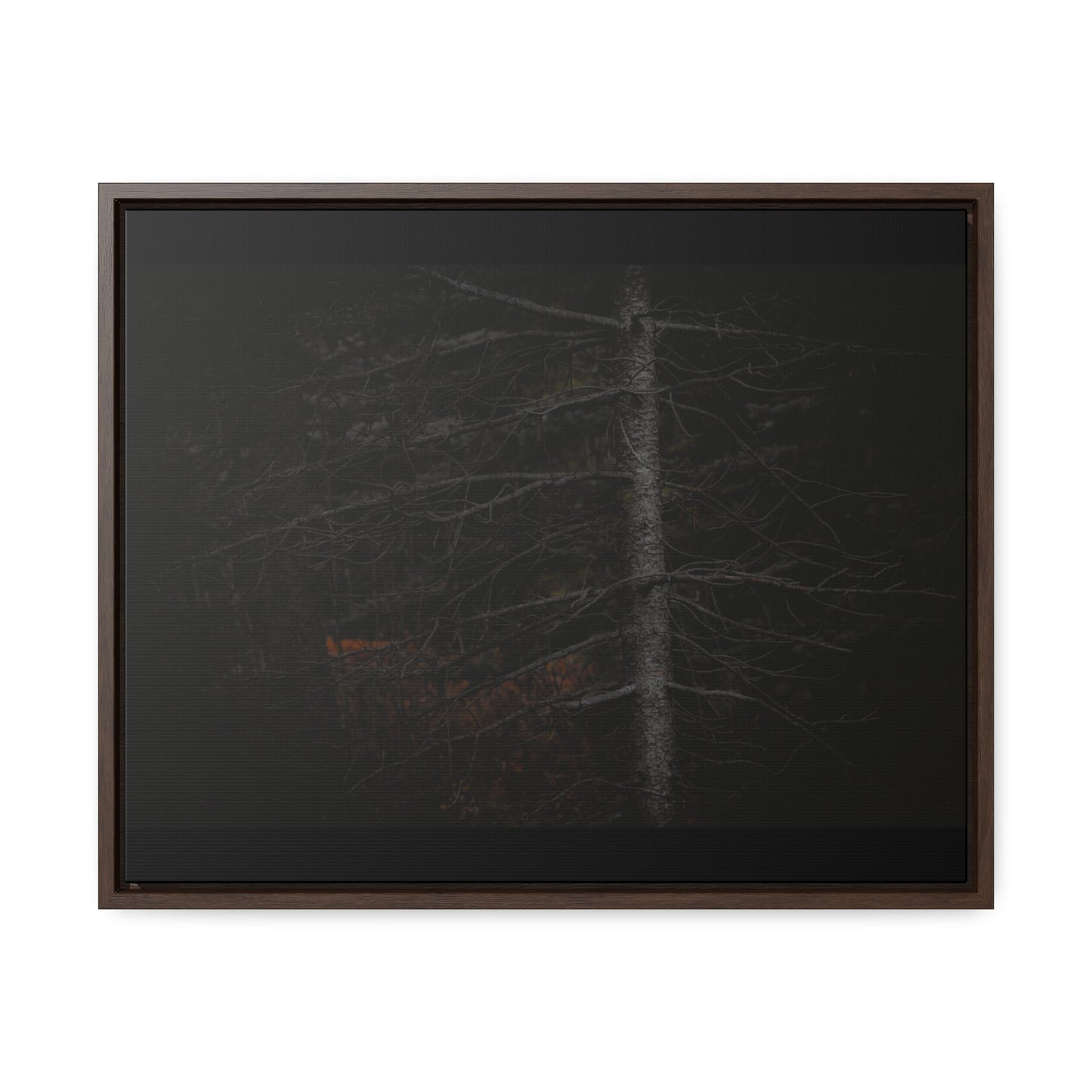 Beauty in Darkness Framed Gallery Canvas