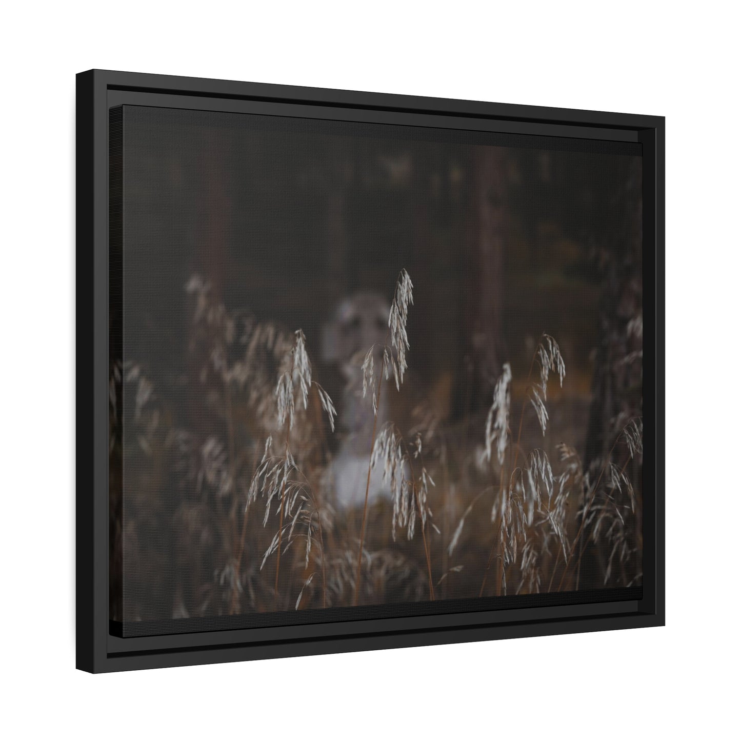 "The Glimpse of the Grave" Framed Canvas