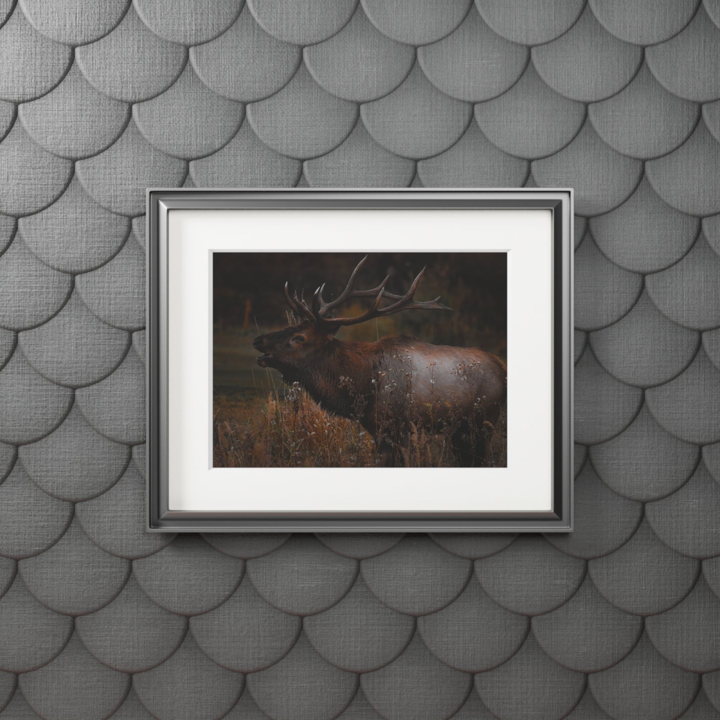 "The Bull" Fine Art Prints (Passepartout Paper Frame)