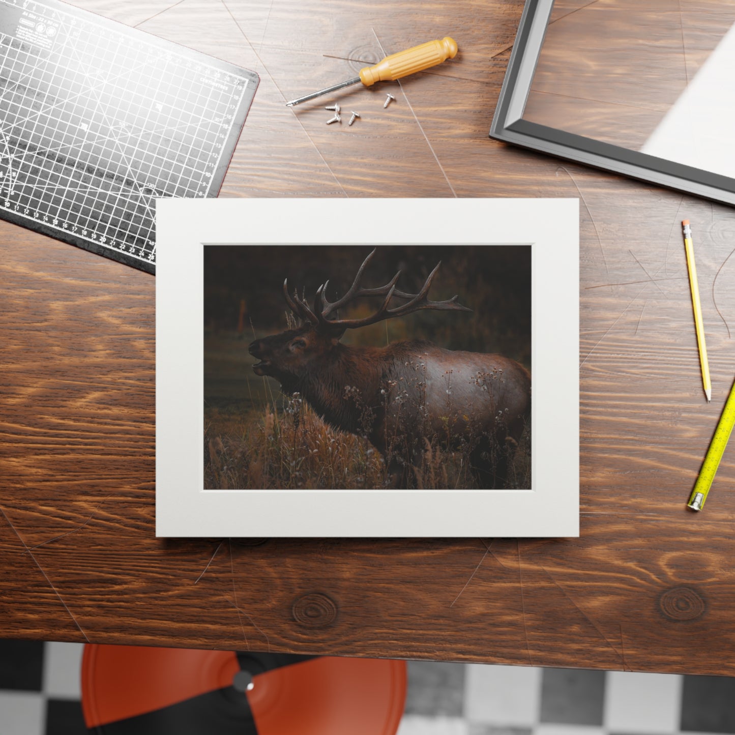 "The Bull" Fine Art Prints (Passepartout Paper Frame)