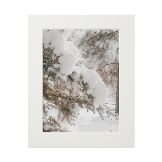 "Winter Glow" Fine Art Prints (Passepartout Paper Frame)