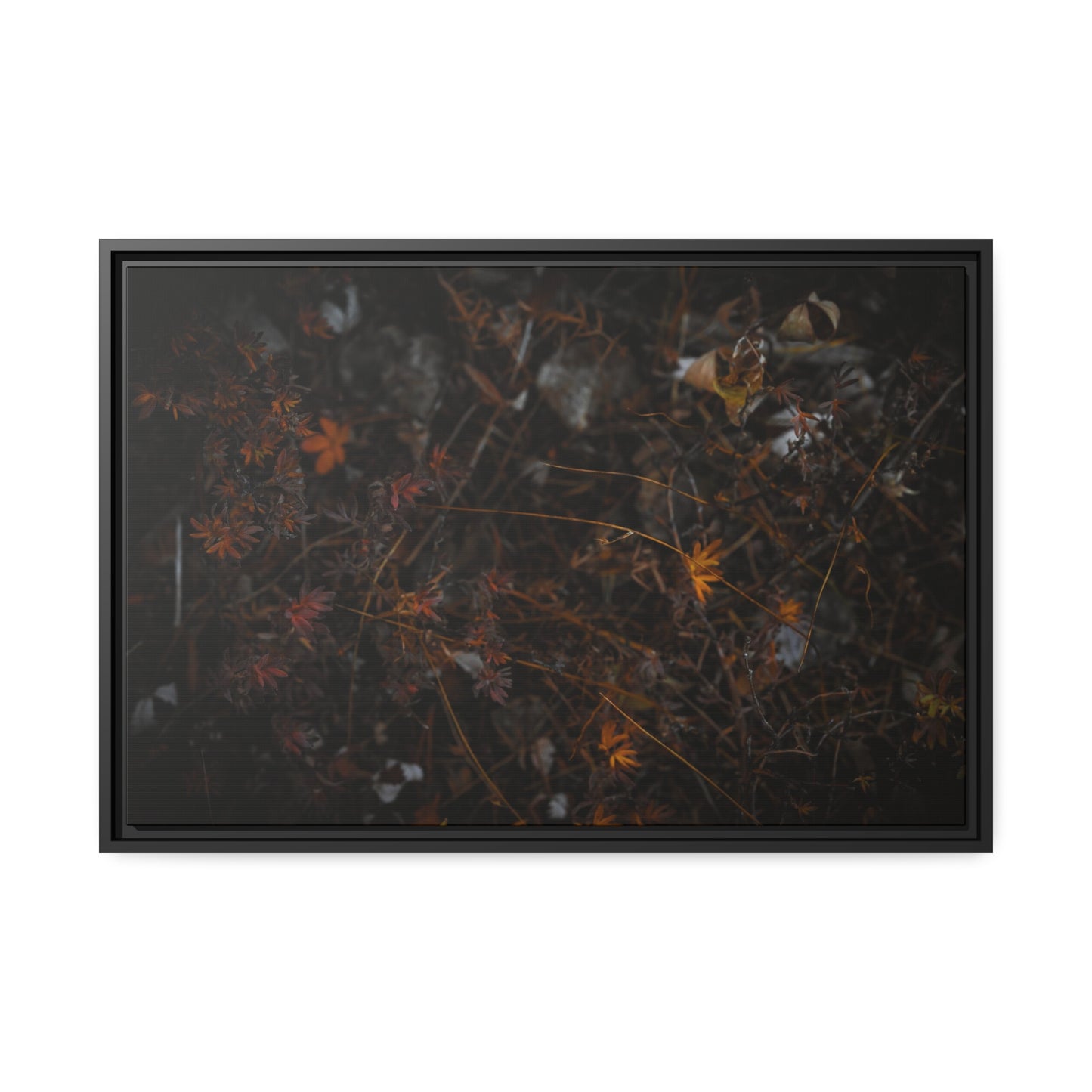 "Autumn's Last Breath" Framed Canvas