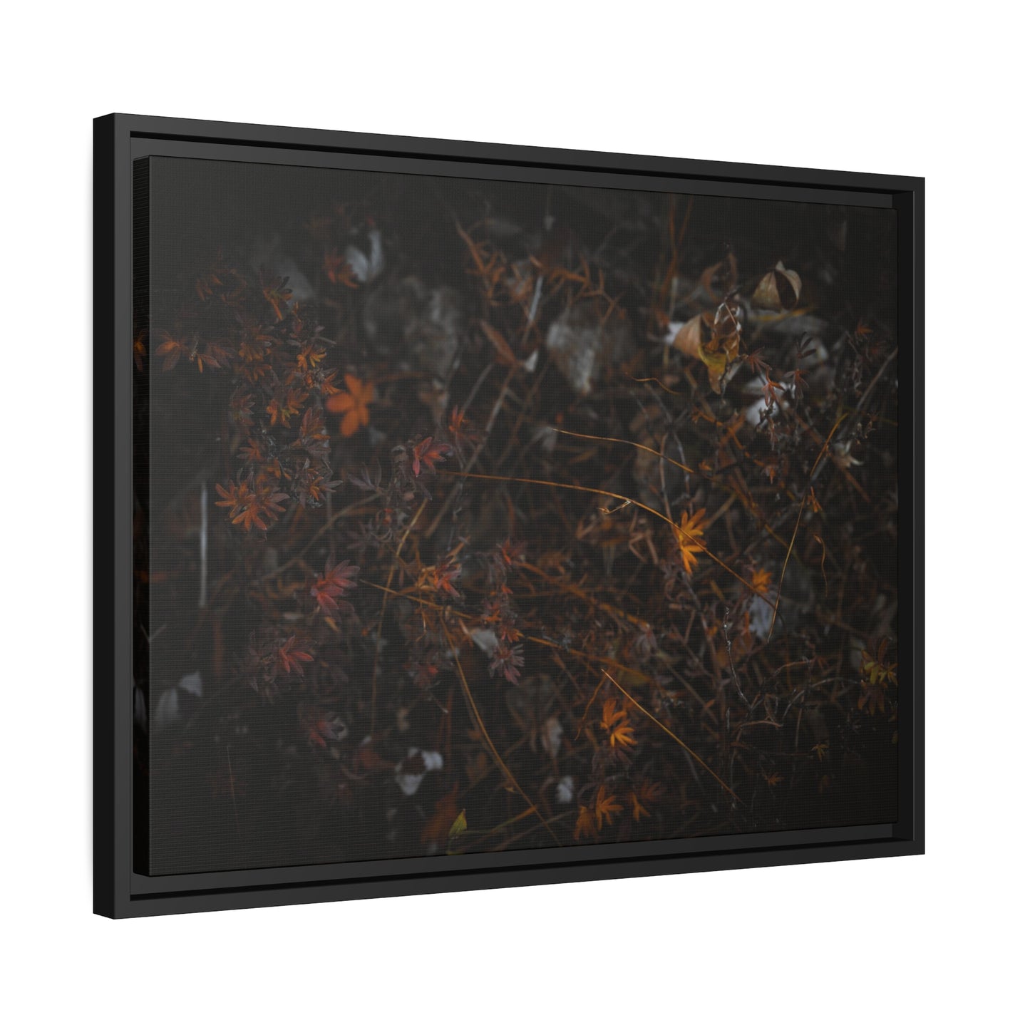 "Autumn's Last Breath" Framed Canvas