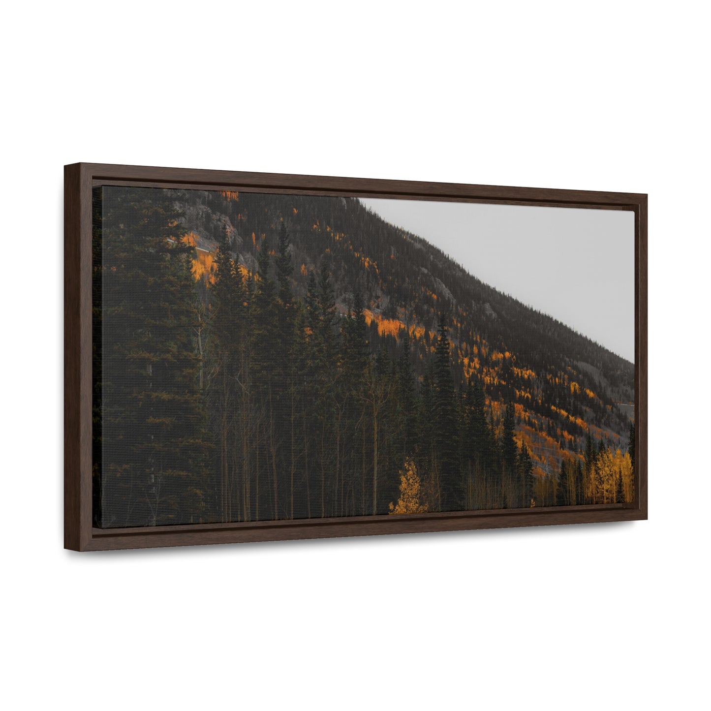 The Lonely Road Framed Gallery Canvas