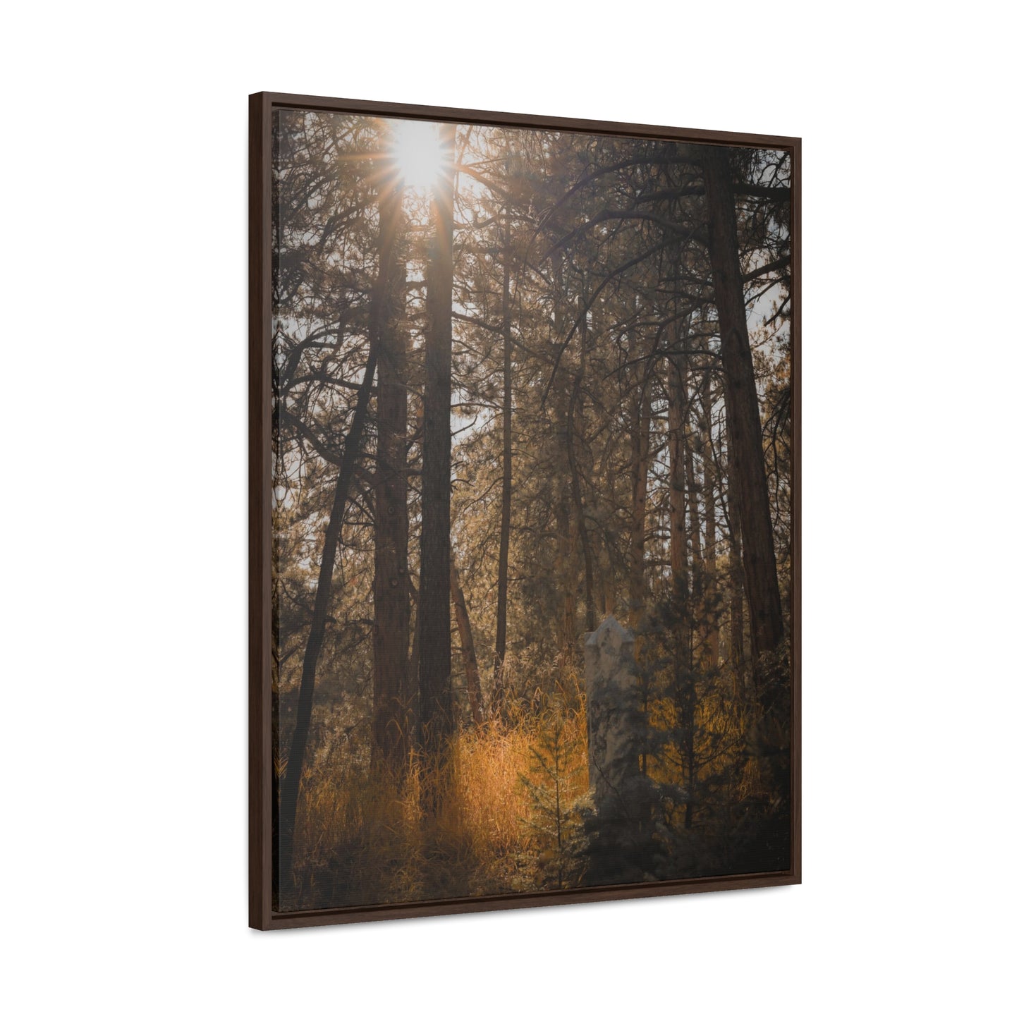 The Sun in the Cemetery Gallery Canvas Wraps, Vertical Frame