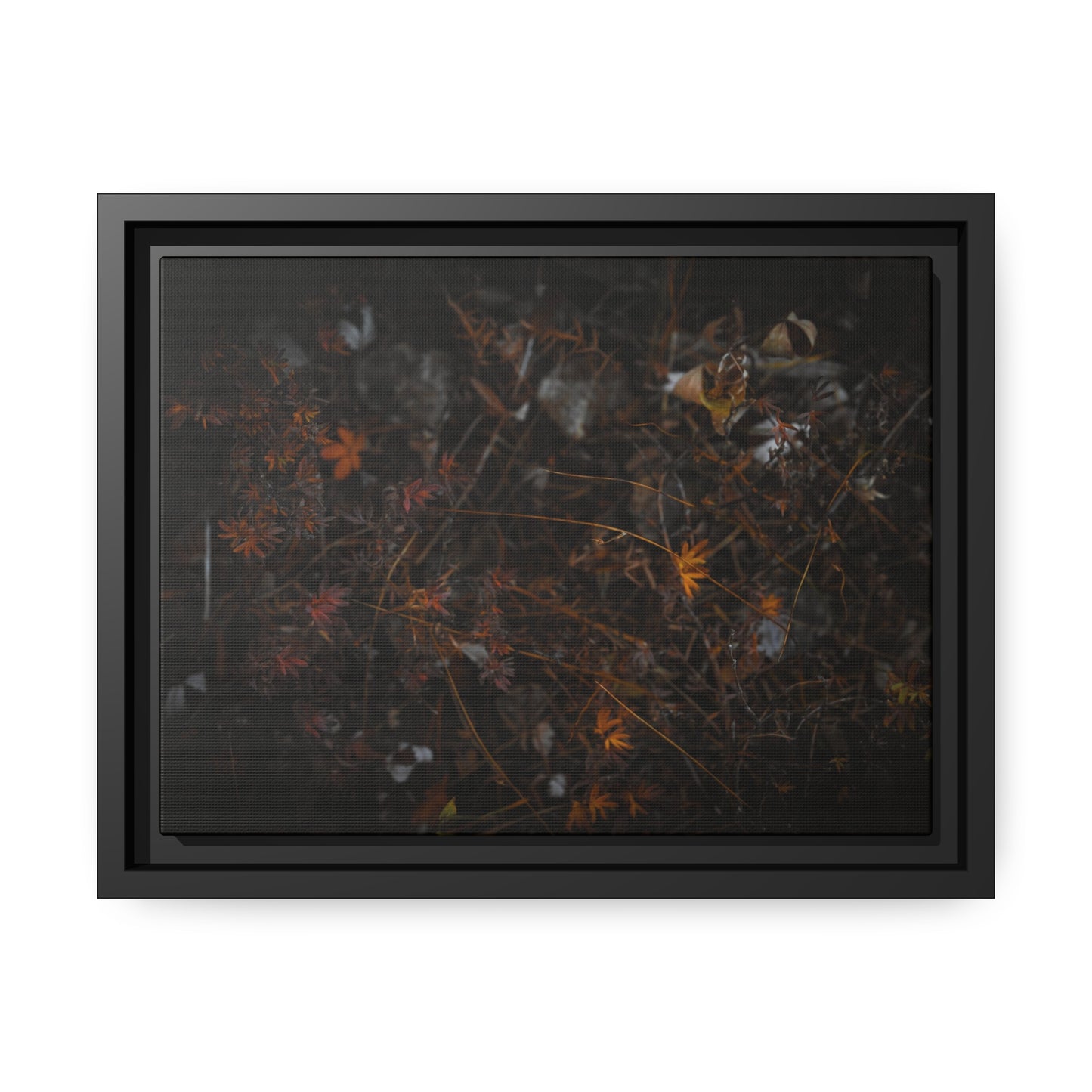 "Autumn's Last Breath" Framed Canvas