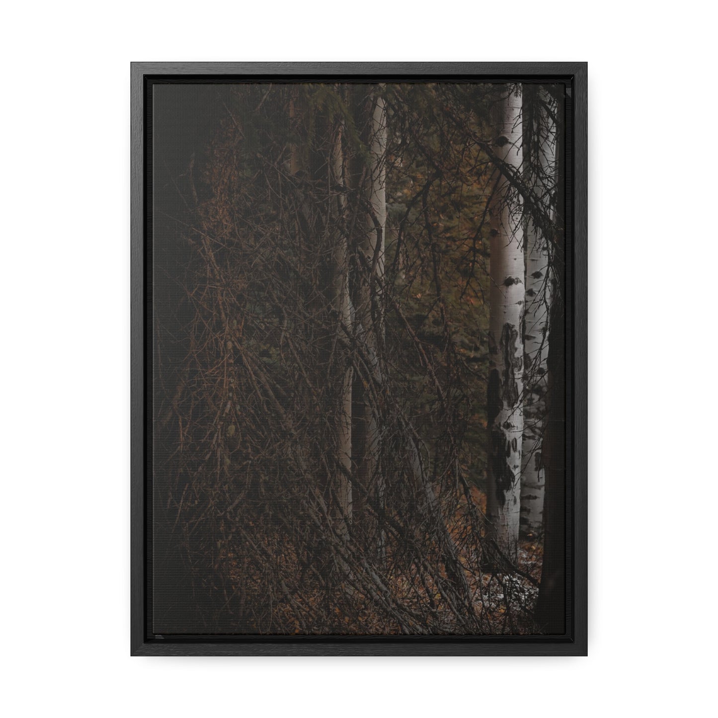 The Dark Forest Gallery Canvas Wraps, Vertical Frame