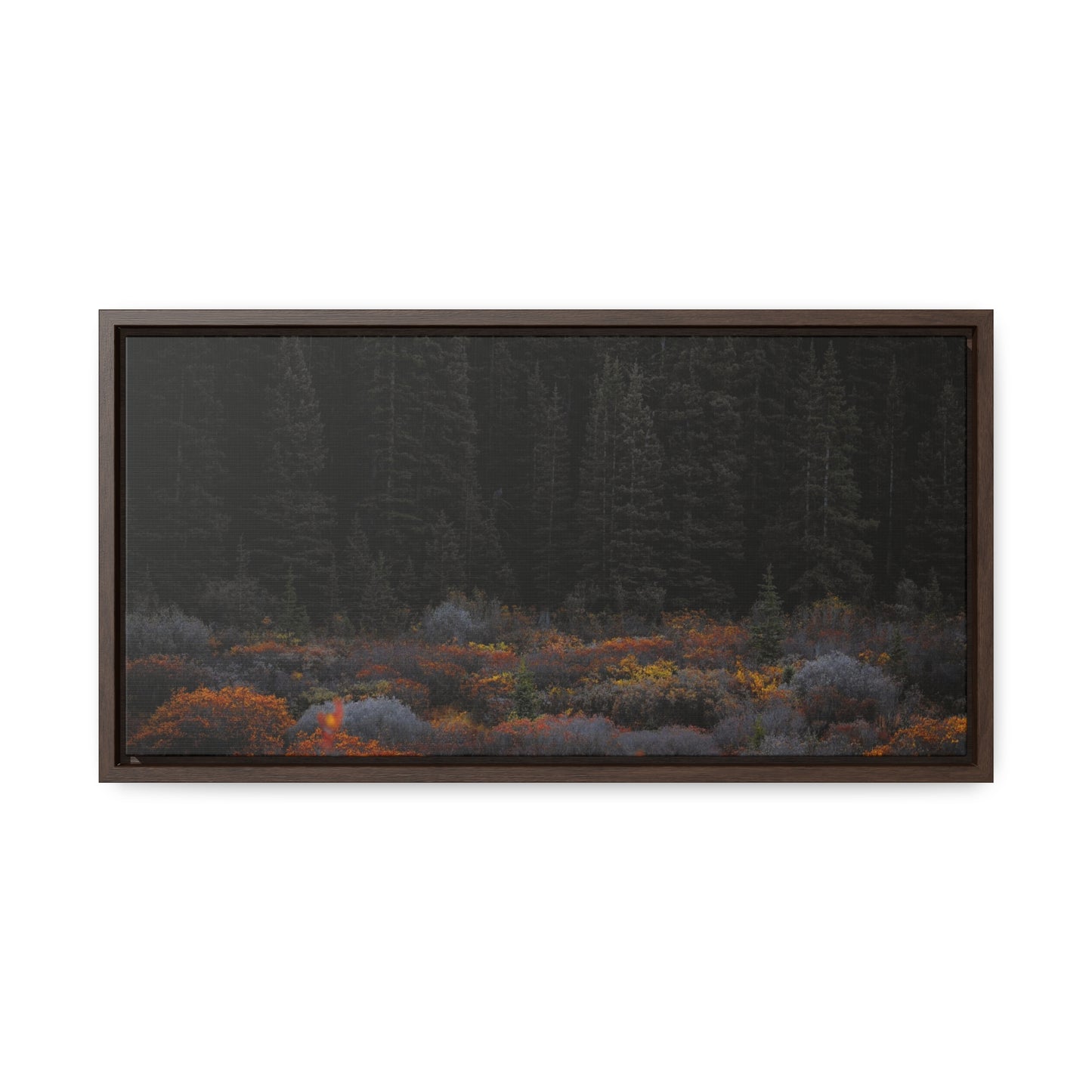 Moody Forest Framed Gallery Canvas