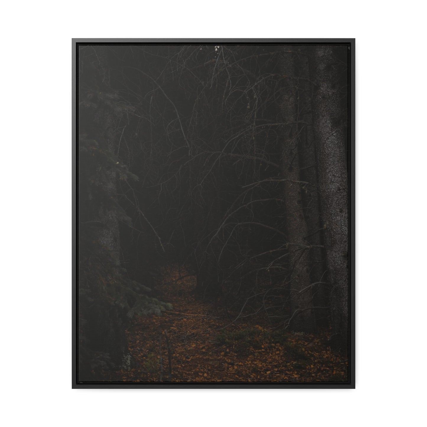 Into the Woods Gallery Canvas Wraps, Vertical Frame