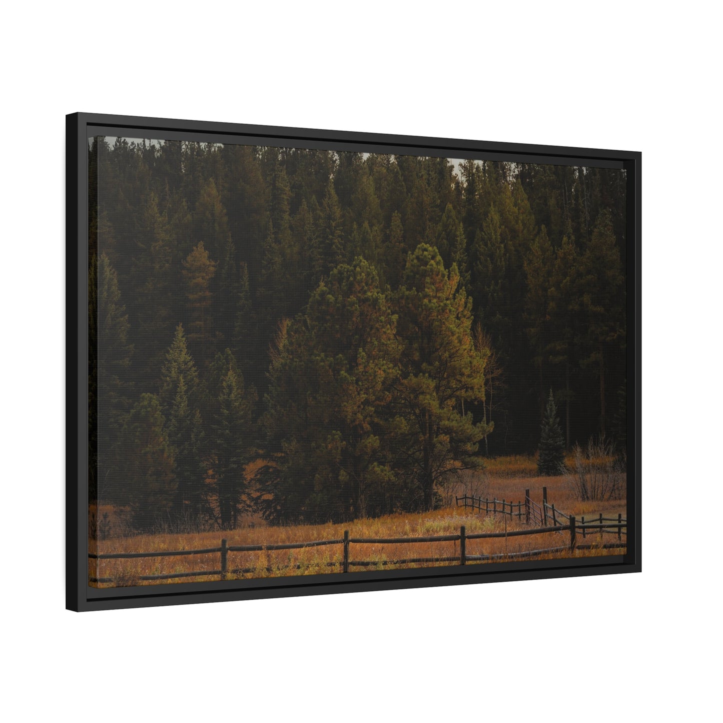 "Forest's Edge" Framed Canvas