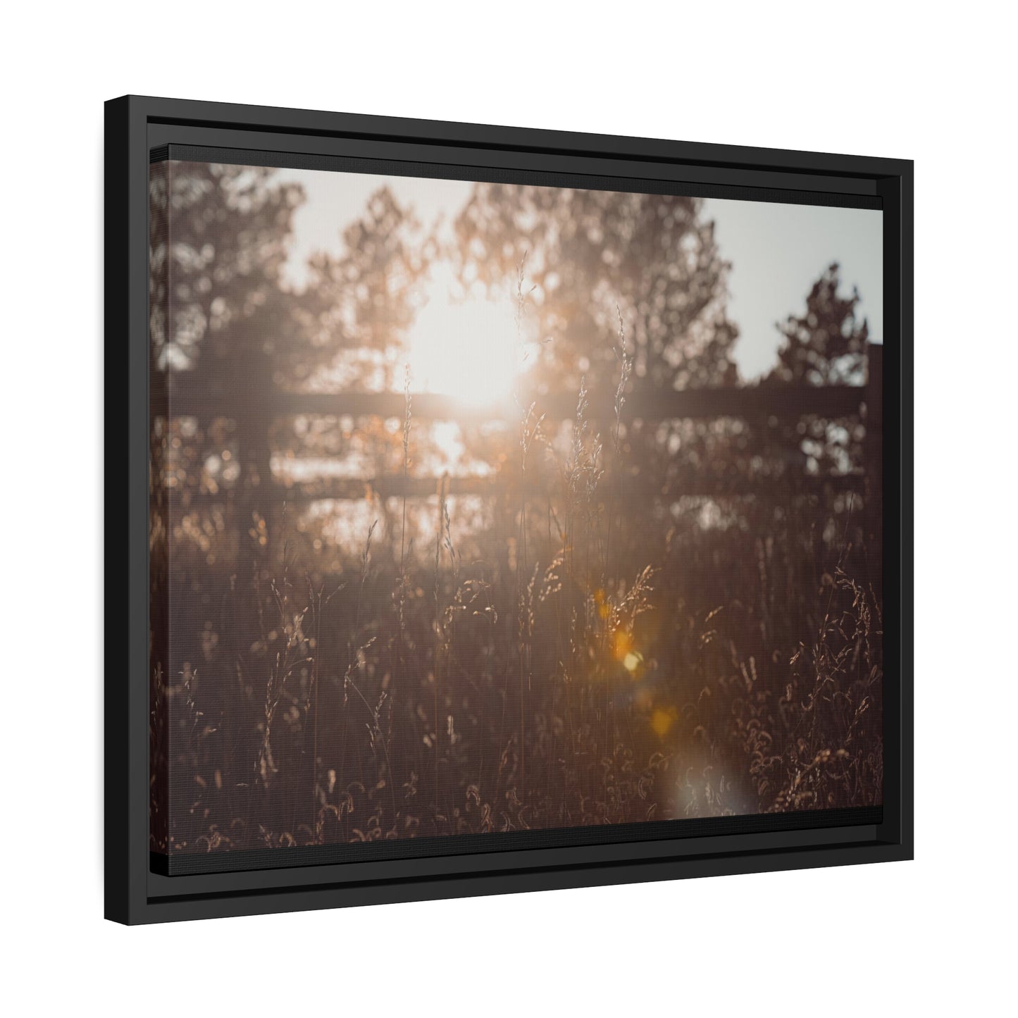 "October Sun" Framed Canvas