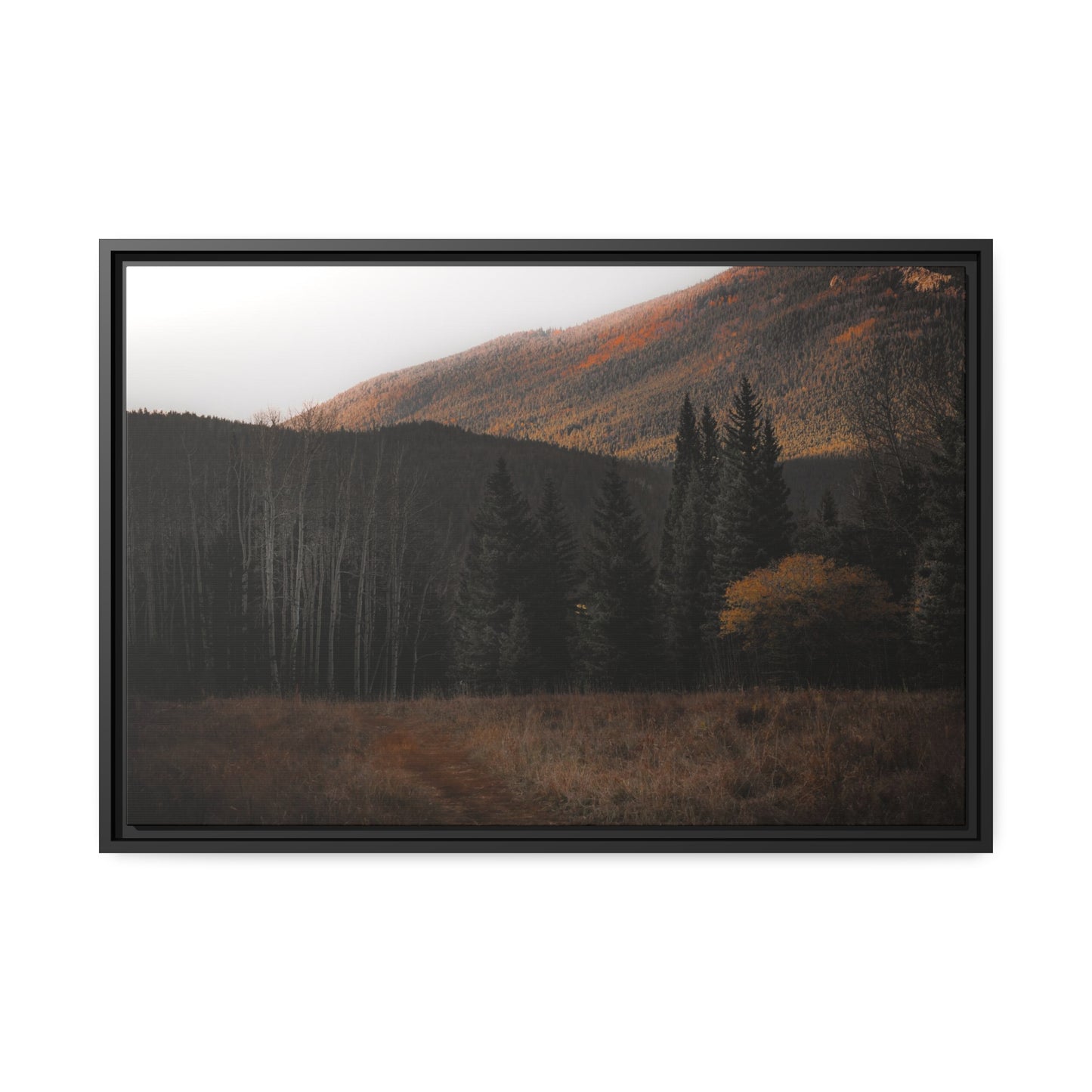 Evening Glow Framed Canvas