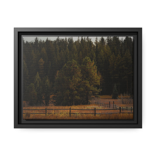 "Forest's Edge" Framed Canvas