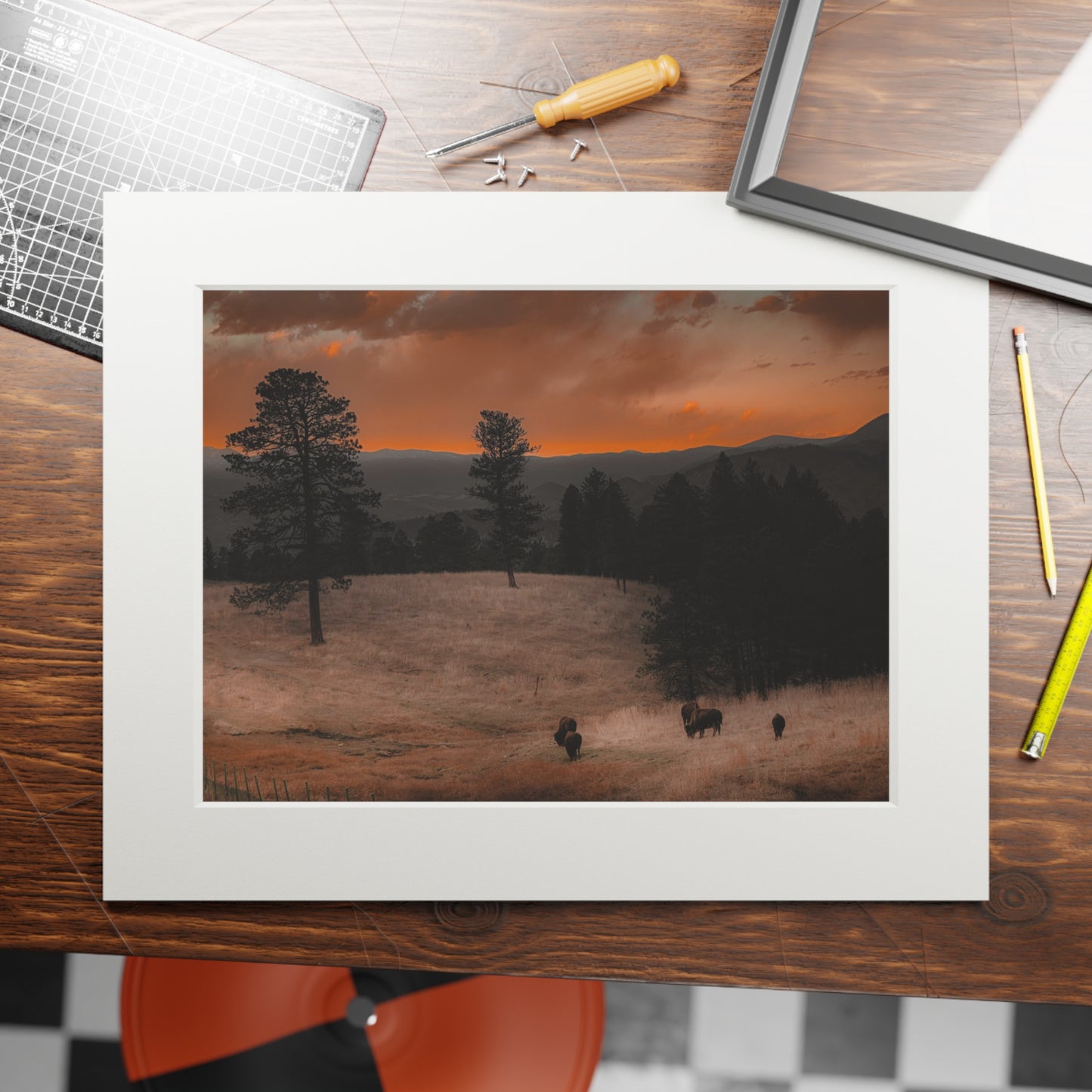 "Bison at Sunset" Fine Art Prints (Passepartout Paper Frame)