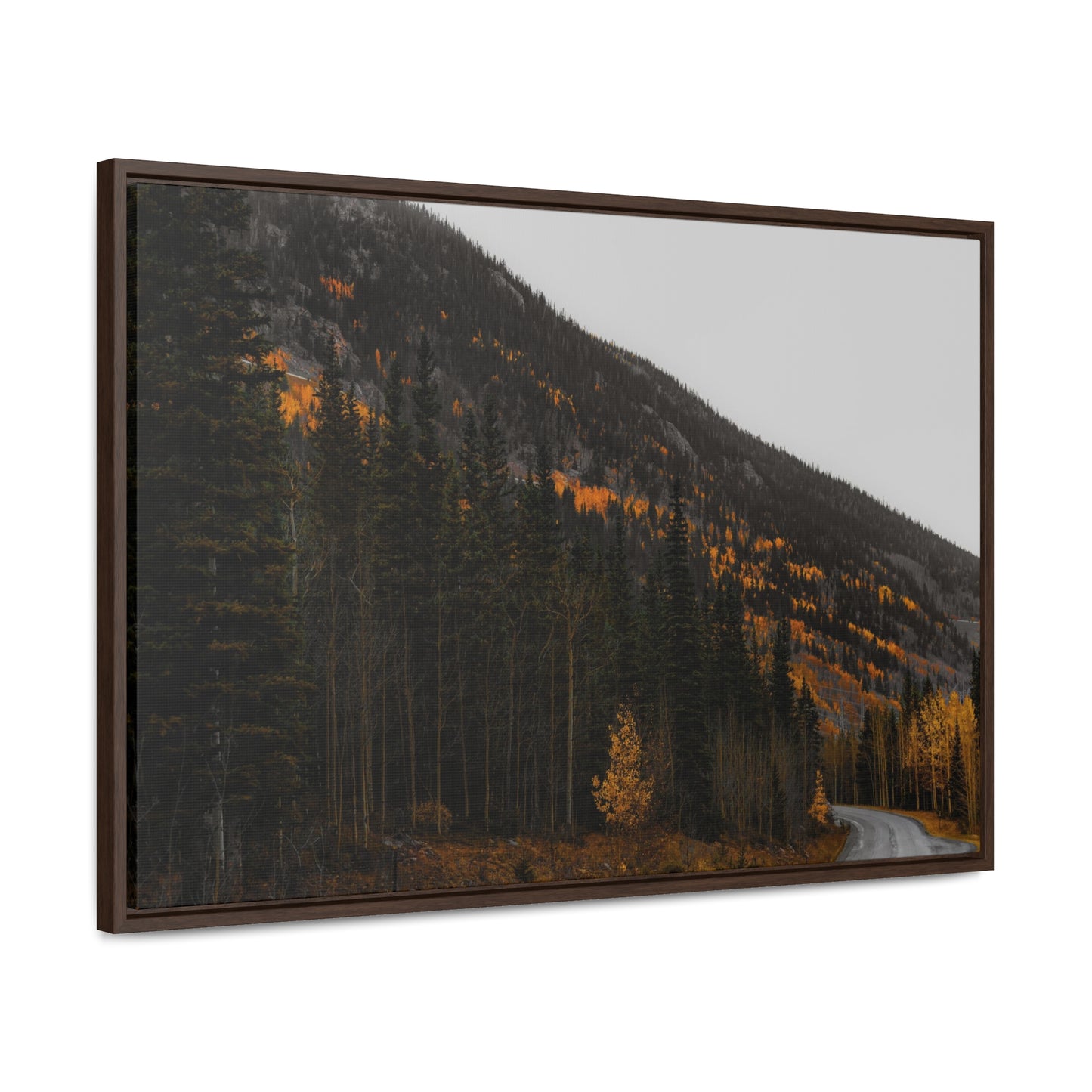 The Lonely Road Framed Gallery Canvas